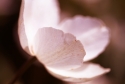 Ou of focus